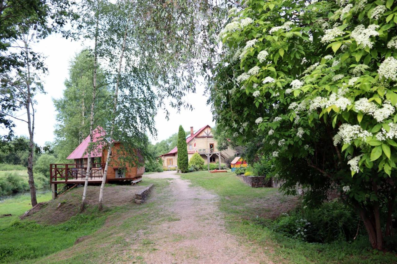 ホテル Viesu Nams Zala Sala Litavniki エクステリア 写真